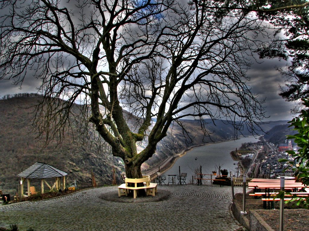 Oberwesel - Siebenjungfrauenblick by charlyfoxtrott