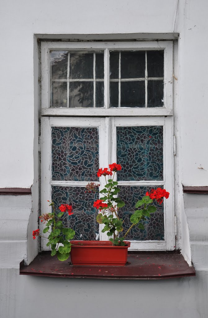 Гродно. Цветы на окошке / Grodno. Flowers in the window by Ann78