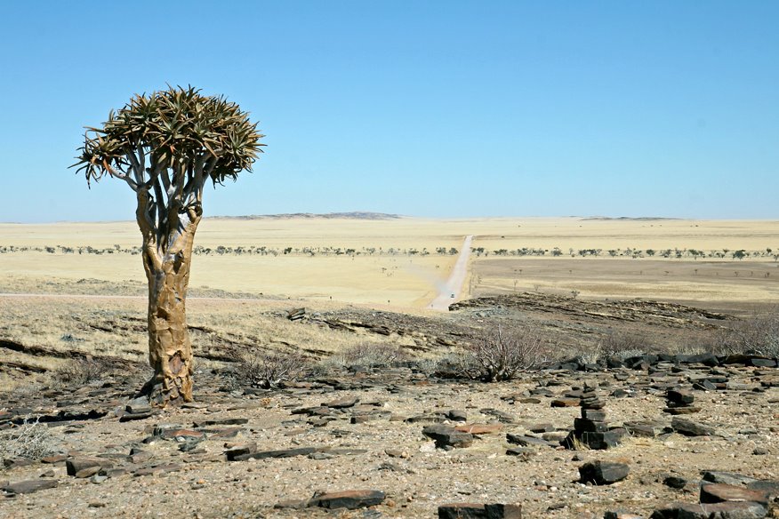 Road C14 view to the west (direction Walvisbaai) by Banja-Frans Mulder