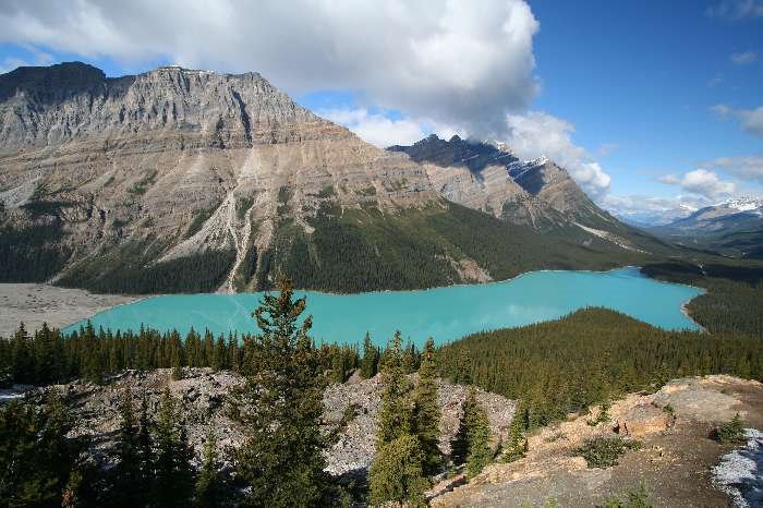 Peyto Lake by Frank Merfort