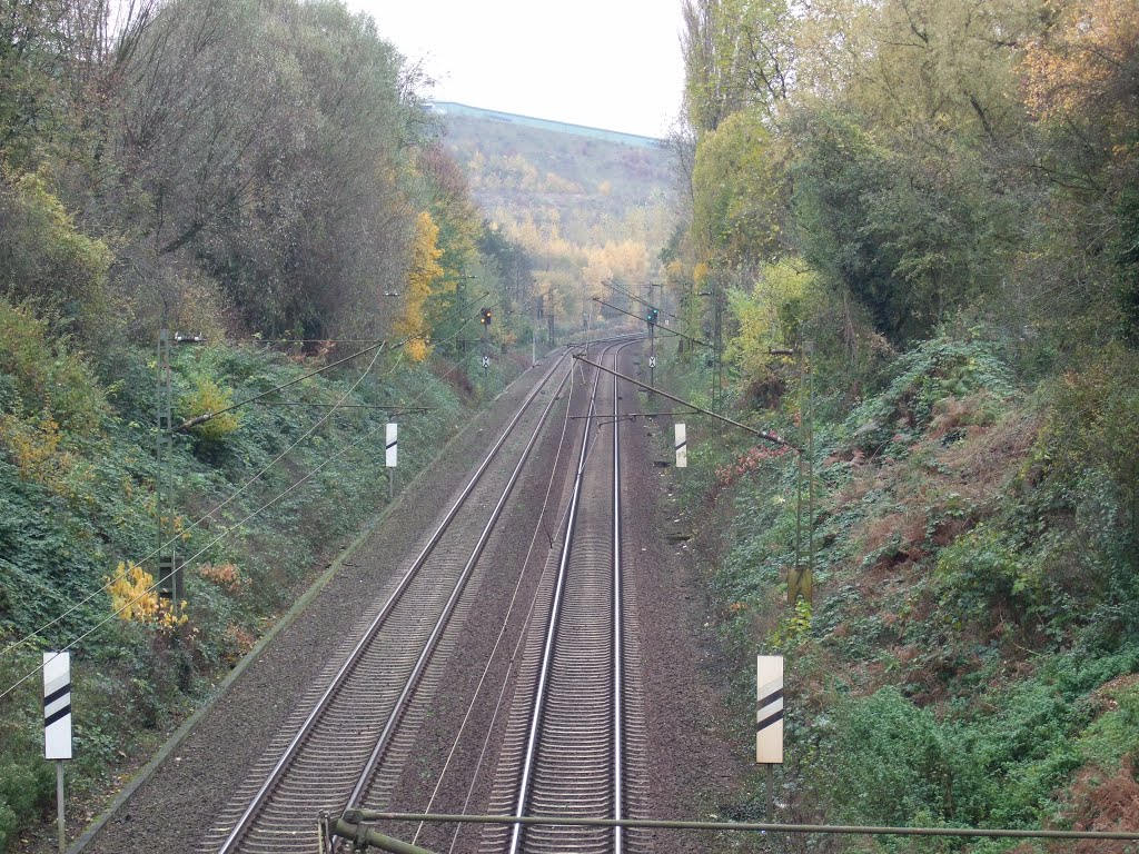 Einfahrvorsignale Bottrop Hbf by Hurrug