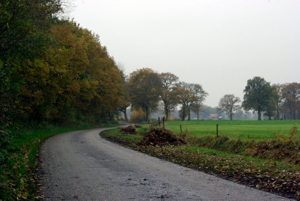 Rijsberkampen by O.Steentjes