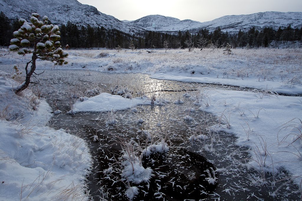 Freezing cold weather at Mjølfjell by S.M Tunli - tunliweb.no