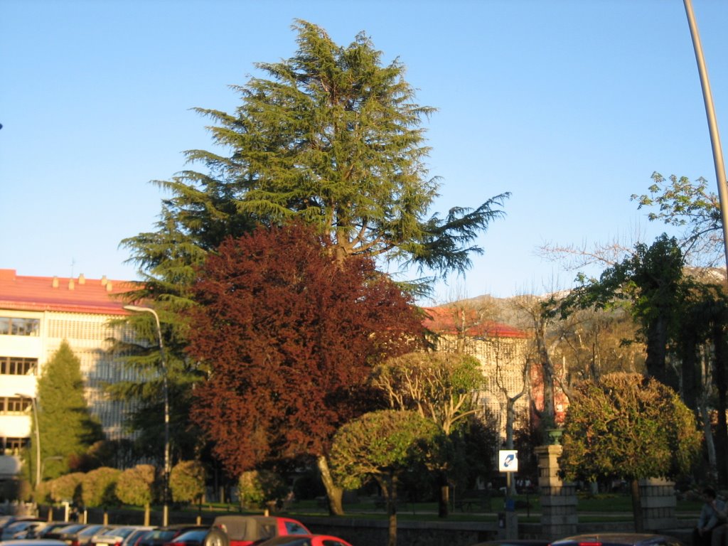 La Corredera by Enrique Pamo