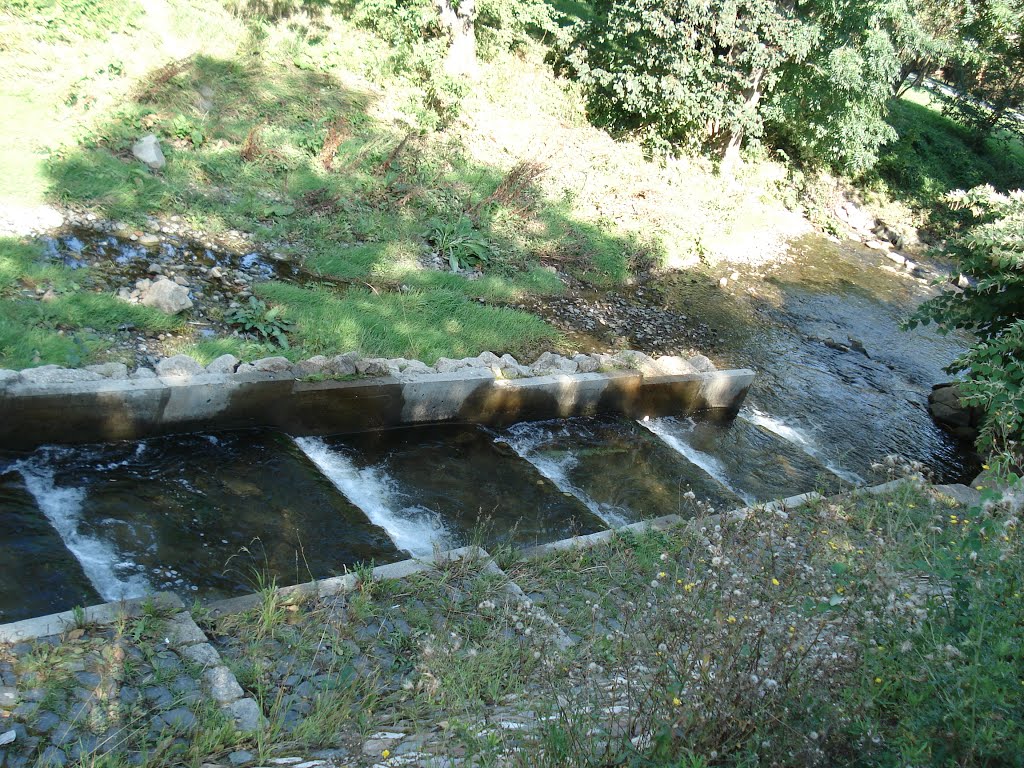 Fischtreppe in Wernigerode by Christian Reinboth