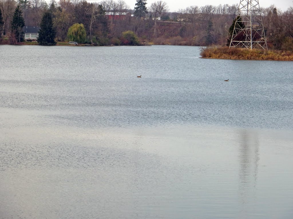 Lake Adrian by UnagiUnagi