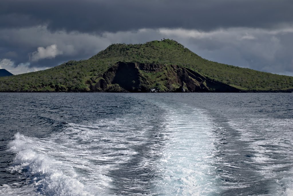 Galápagos, Ecuador by Diego Guerrieri