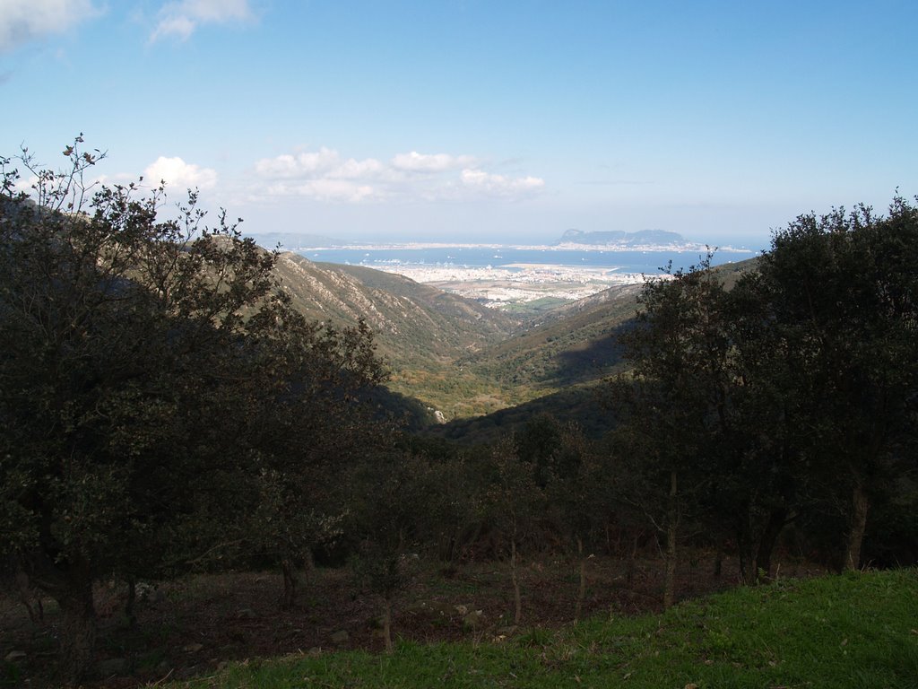 VALLE RIO DE LA MIEL by JUMISA