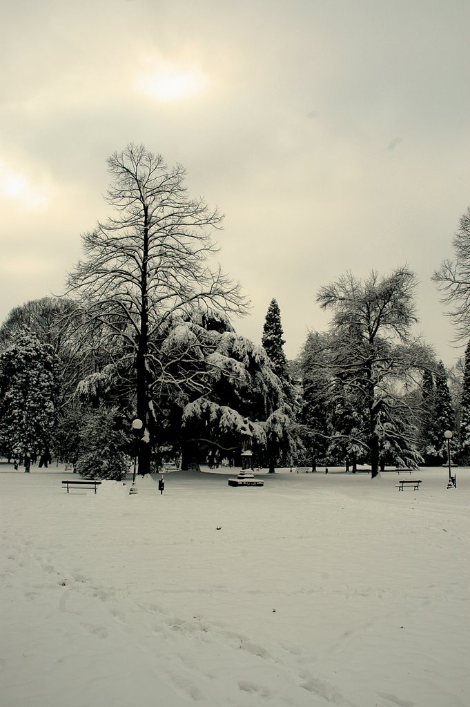 I "Giardini" d'inverno by ilcoltellino