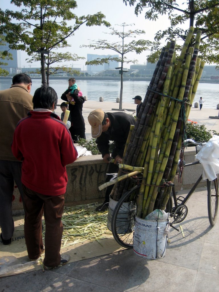 Guangzhou, China. Refreshing sugarcane. by Eivind Friedricksen