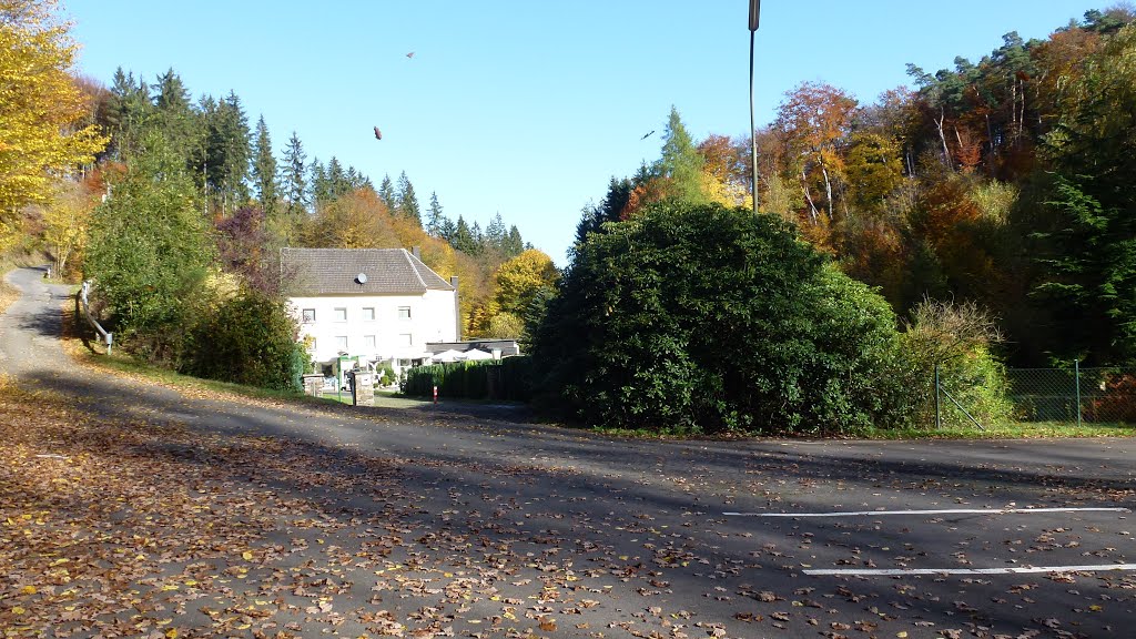 Die Grenzbachmühle by Horst Schumacher