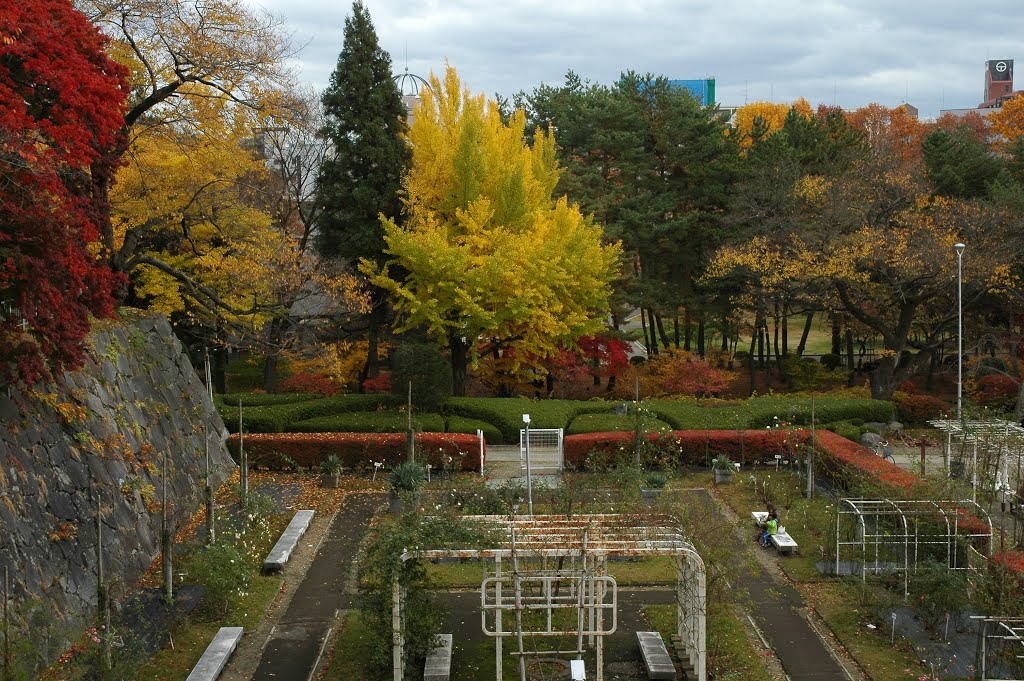 盛岡城跡公園（岩手公園）の紅葉05('12.11.11)autumn leaves by Mikochan