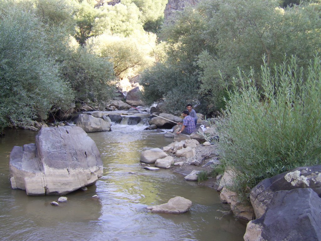 Hamur deresi by artireklamajansi