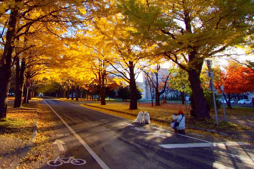 北海道大学（Hokkaido University） by t-konno