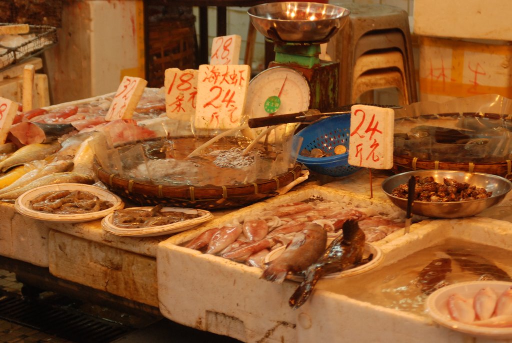 Fish for sale Hong Kong by tony hope