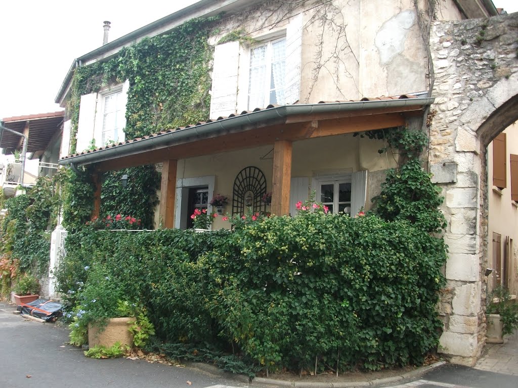 Tres belle maison rue de la saone st bernard by Salomon BARZILAI & Jerome IBY