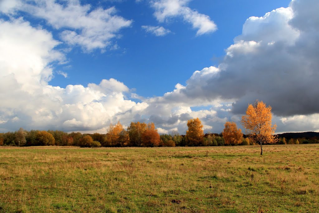 Waldheide Heilbronn ●(015°) by © Roland