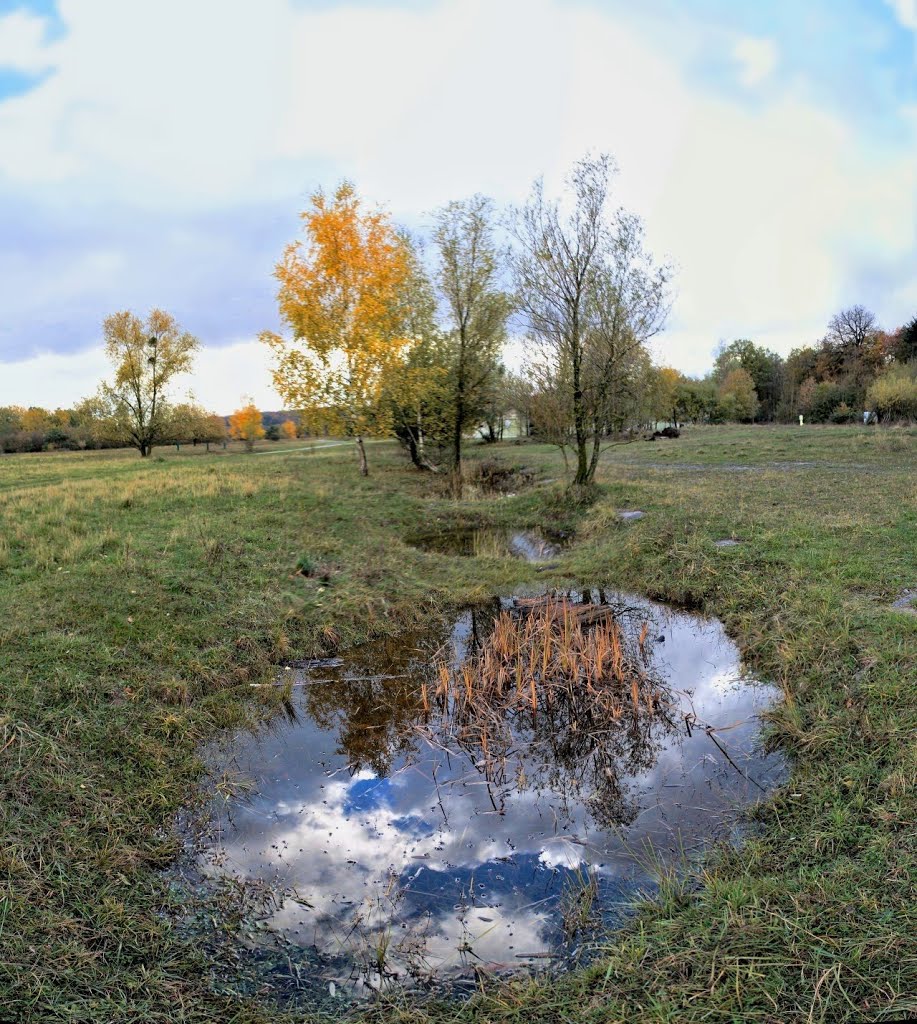 Waldheide Heilbronn ●(180°) by © Roland