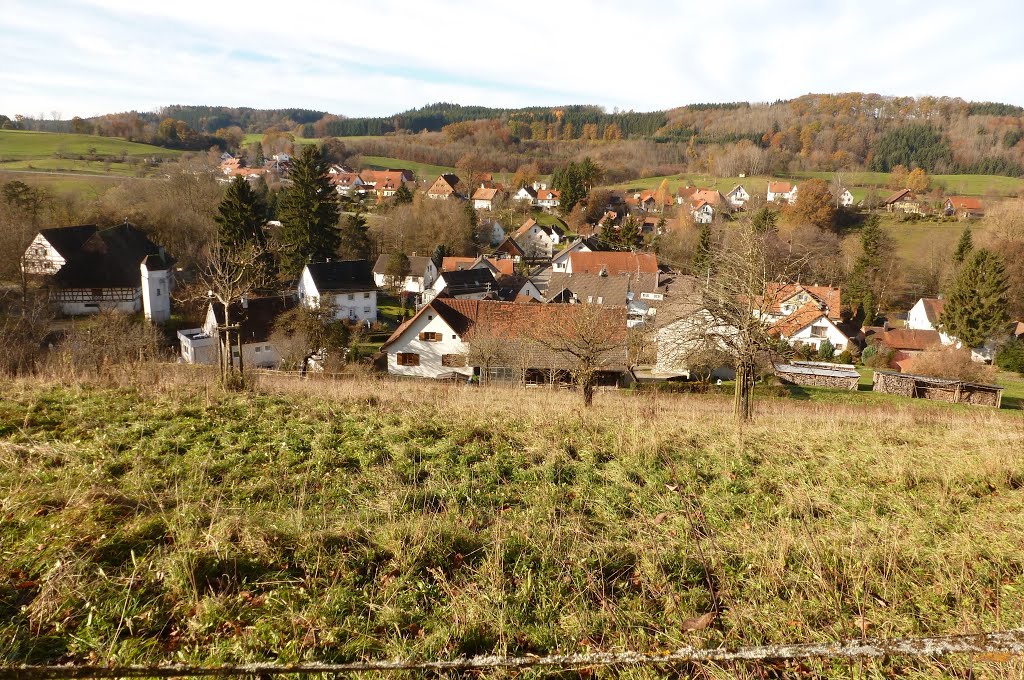 Blick von Osten auf Wolfegg-Wassers by J. Eichendorf