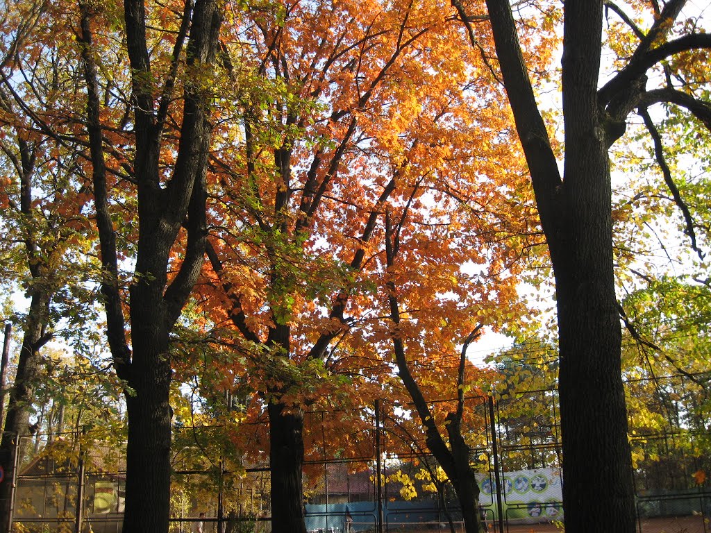 Autumn in Bucharest by MarilenaG