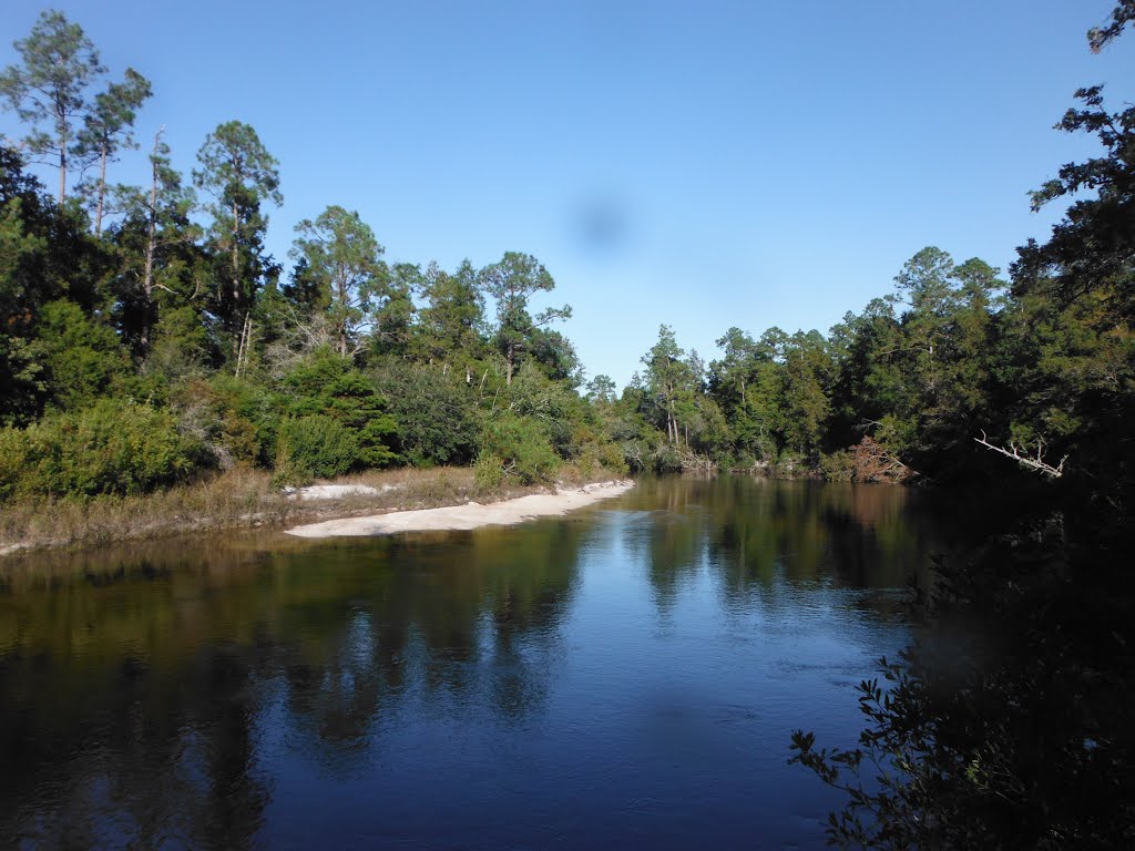 Blackwater River by the-traveling-cajun