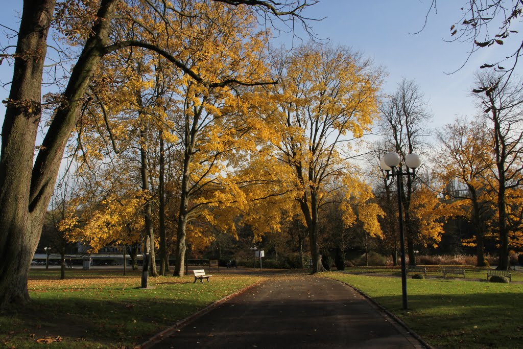 Herbst im Westfalenpark by Helfmann