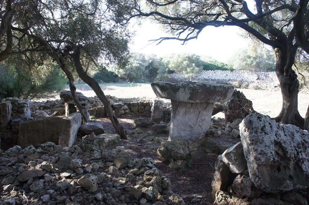 Taula de Torrellafuda (1) by La Casa del Chiflón (Bulnes)