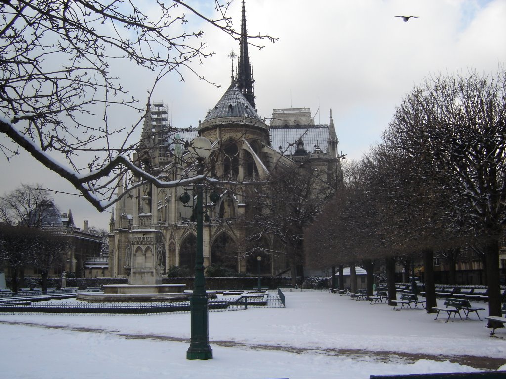 Notre Dame, Paris by Marc K