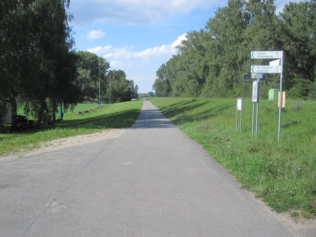 Ab Römerberg bis Speyer - super Radweg ! by HaraldSogl