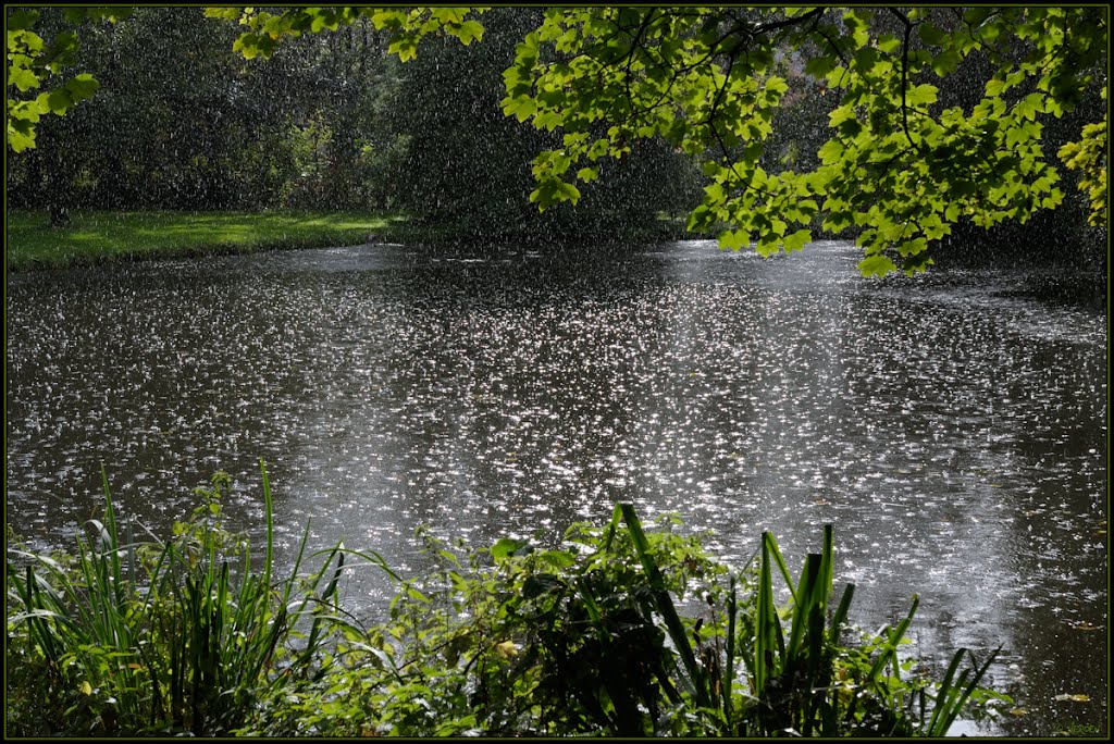 It's raining sunshine by Javerburg