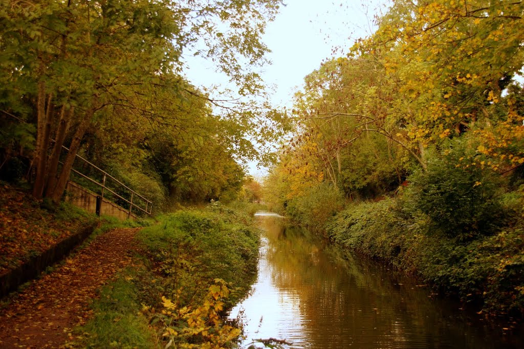 Autumn on the Canal by grisleyreg