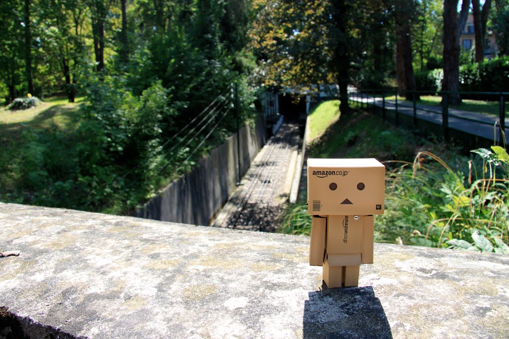 Danbo by Never A Dull Moment