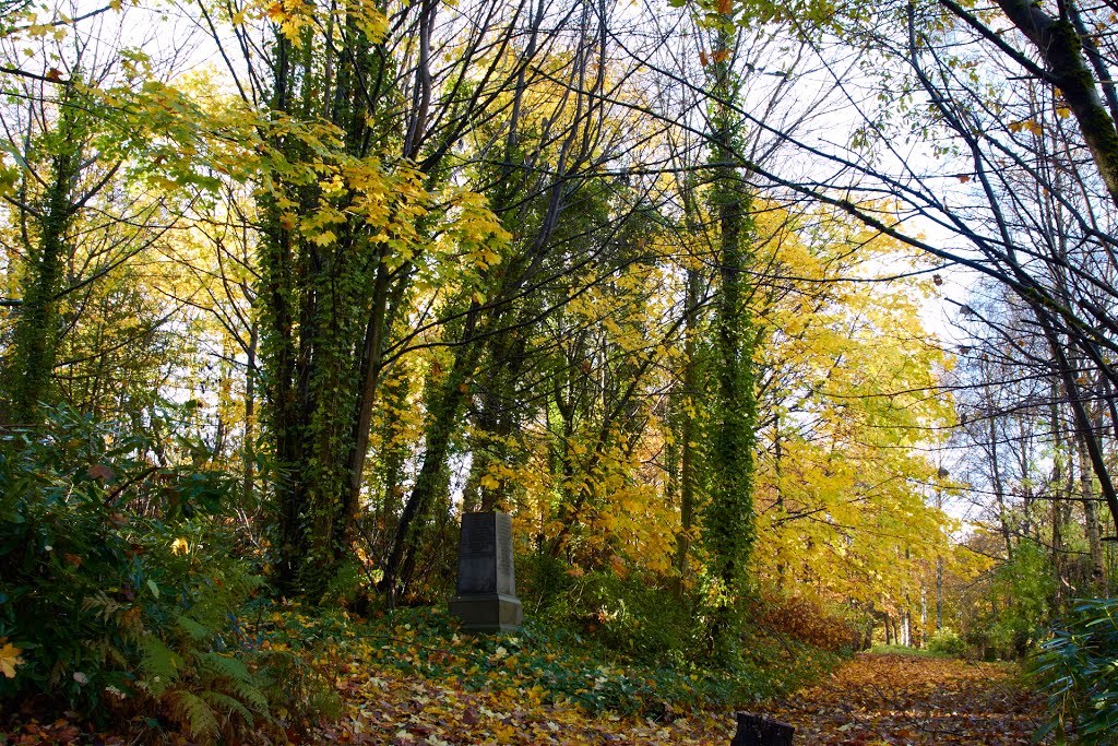 Green viens & Yellow Trees, plot 21 Woodside Cemetery paisley scotland by Kingdavidofscotland