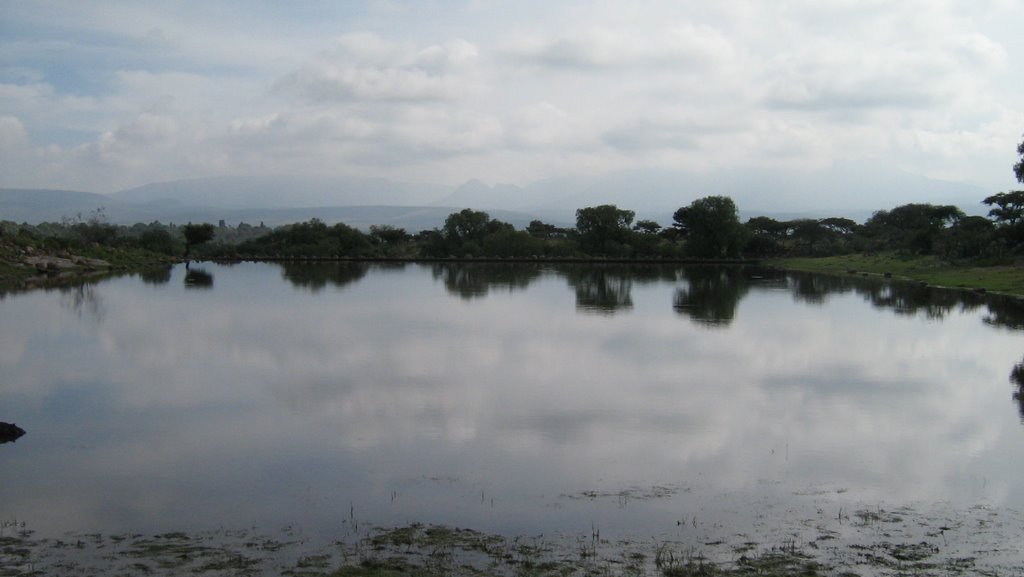 Espejo de agua by Eduardo Pérez Valdez