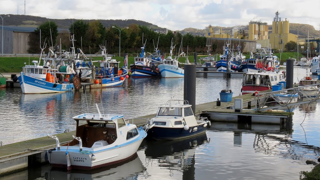 Le Tréport - Le port by epaulard59