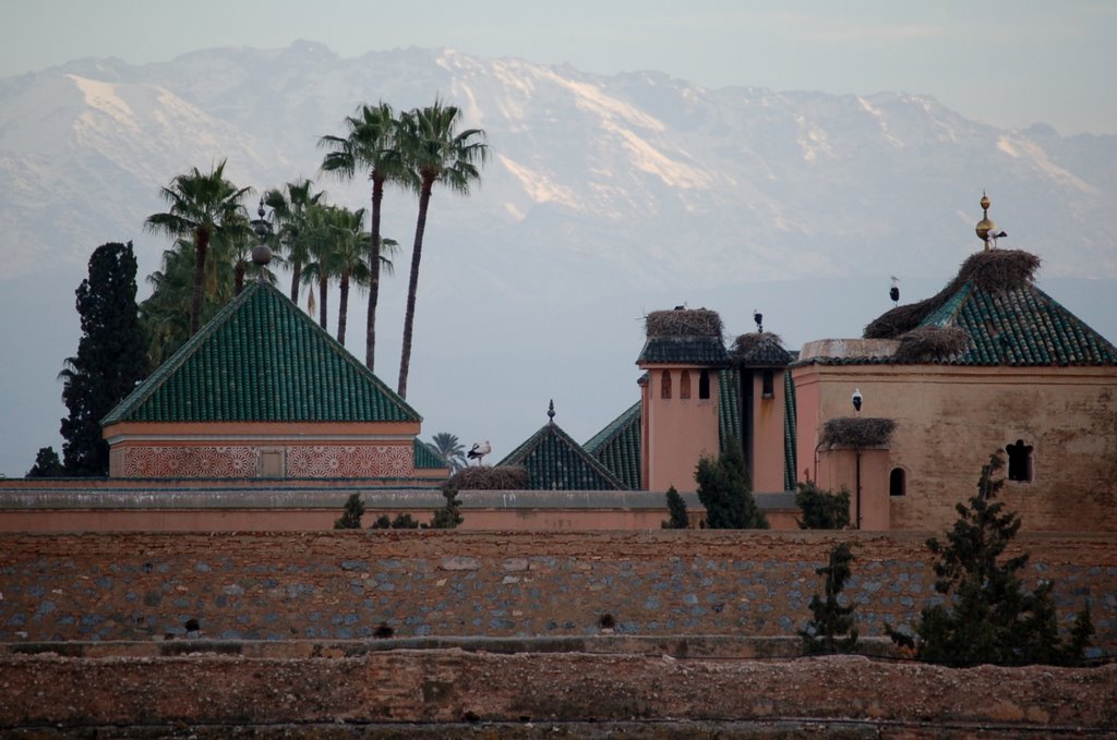 Marrakech Royal Palace by Rickyb