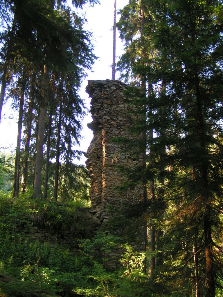 Ruin of the Hus castle by Michal M.