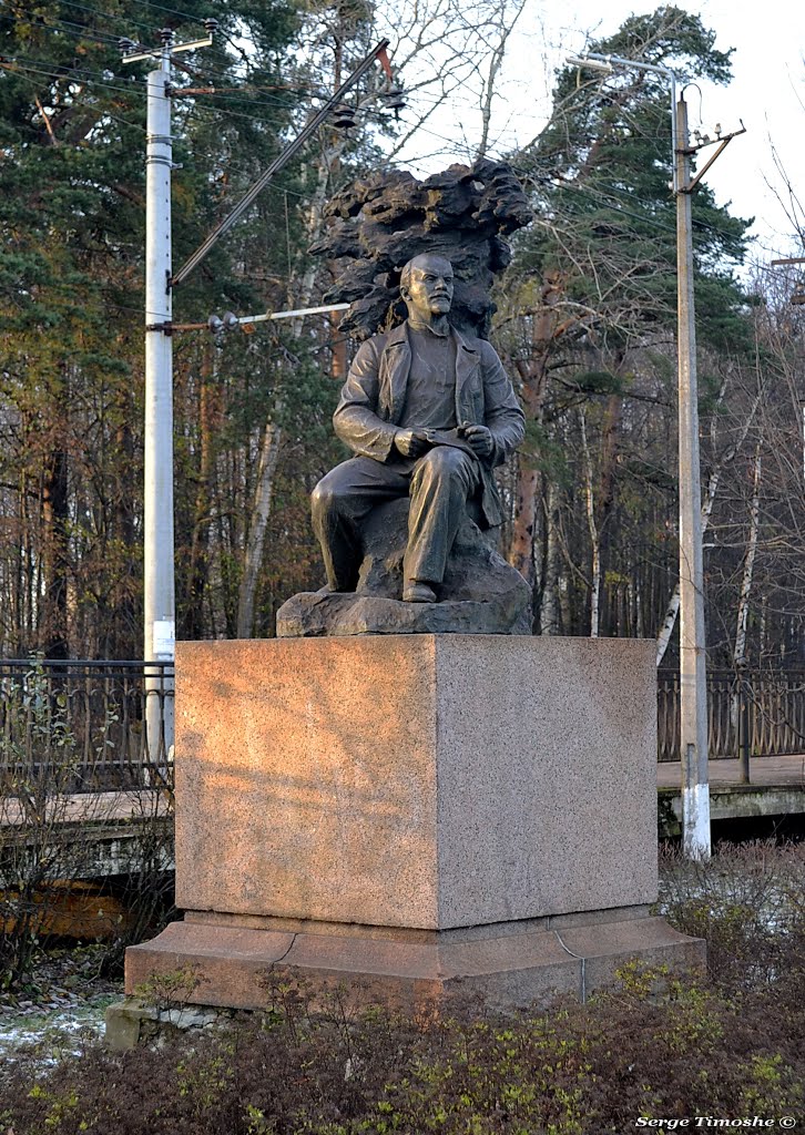 CАНКТ-ПЕТЕРБУРГ (Разлив). Задумчивый Ленин. / Saint Petersburg. Monument to Lenin. by Serge Timoshe