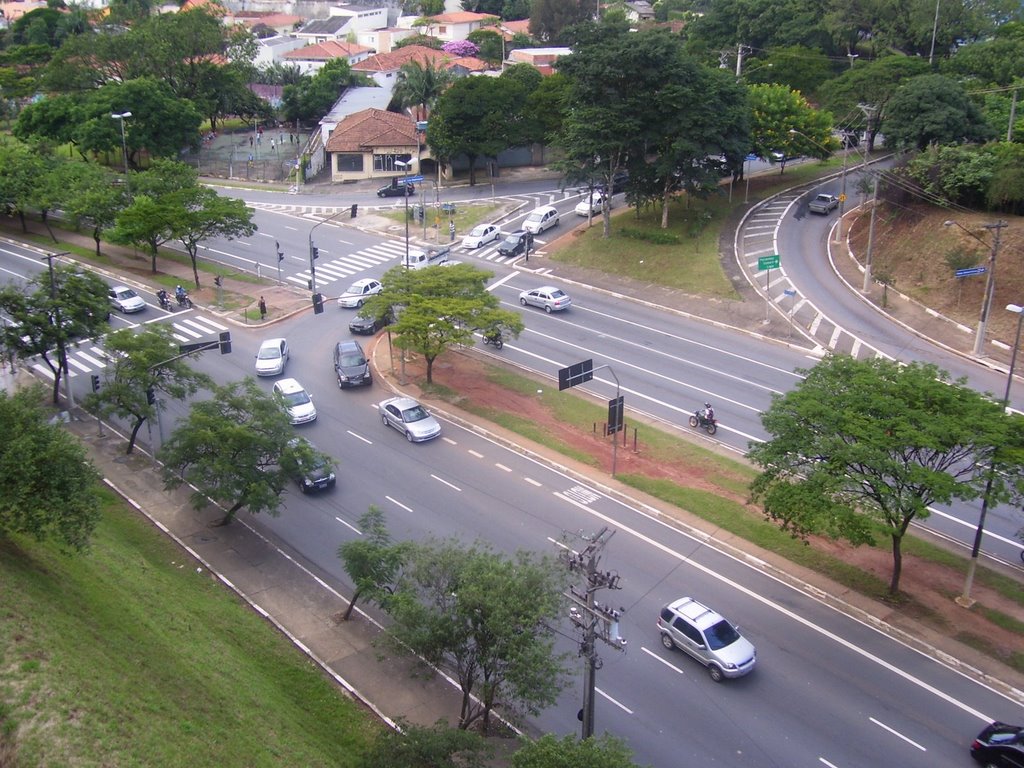 Avenida Paulo VI - Sumaré [São Paulo] by Richard Mendelsohn