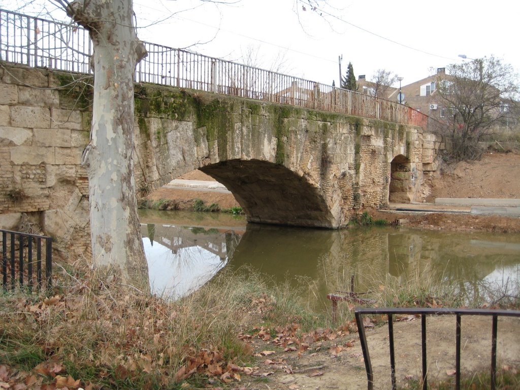 Puente sobre el canal Imperial by alasdeplomo