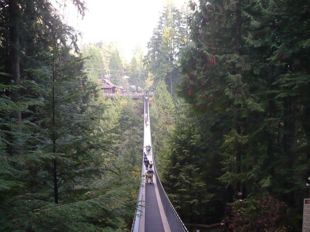 Capilano bridge by Matteo Verra ( IT )