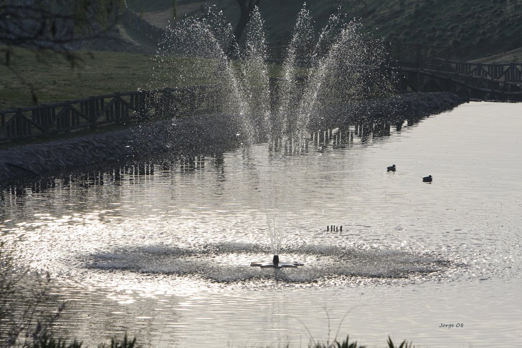 Fuente by galahad