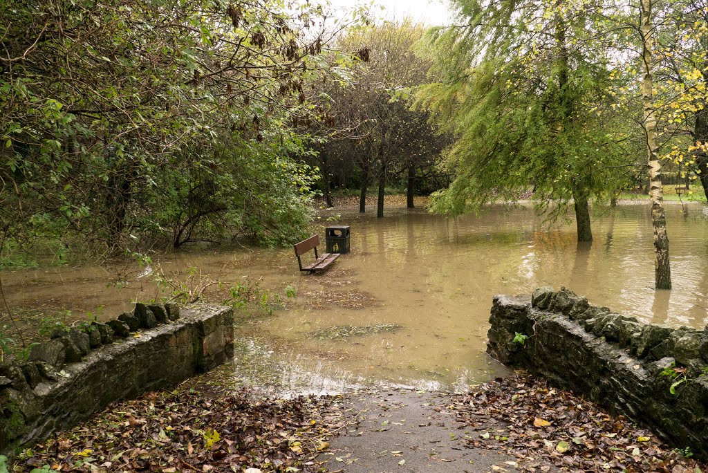 Jubilee Park in Flood 4 Nov 2012 by brokenbeau