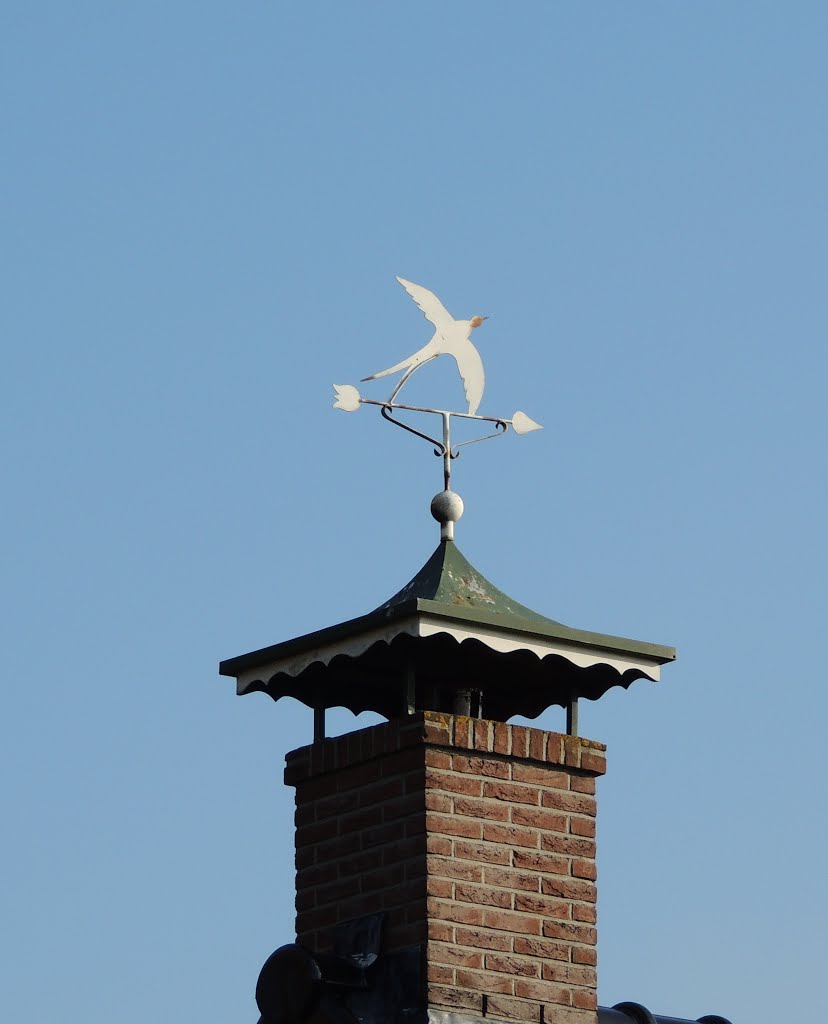 Weathervane. (BB) by Bayke de Vries