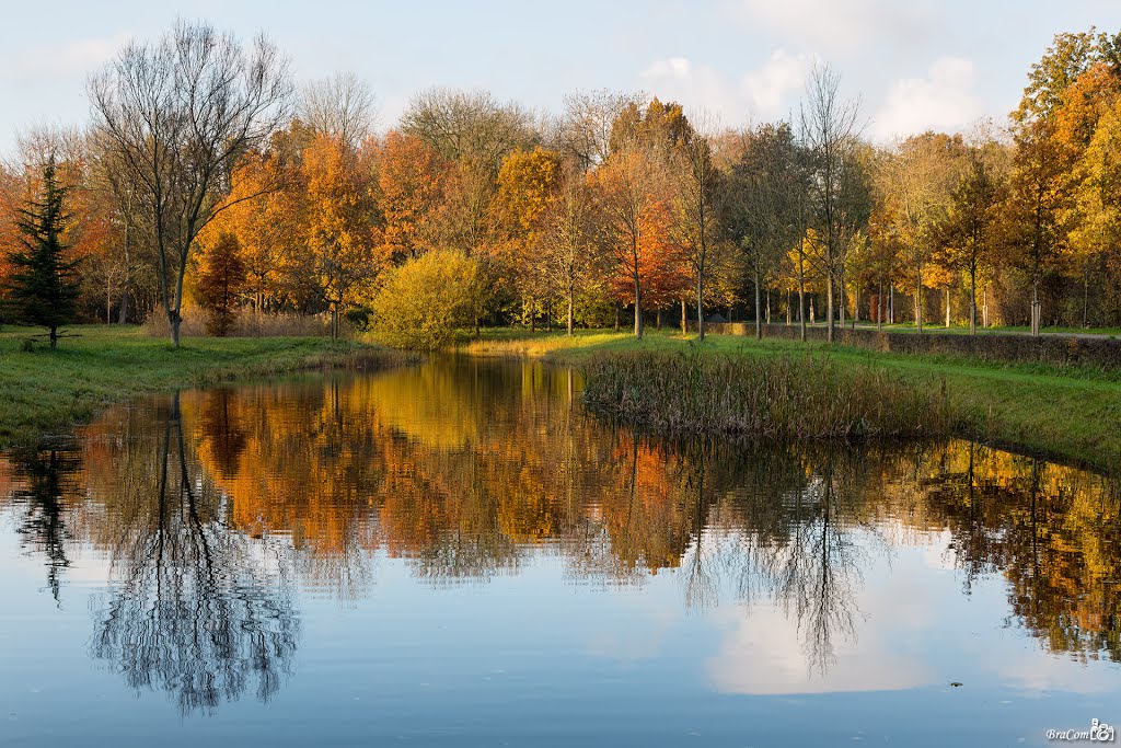 Autumn colors and reflections Schuddebeurs by © BraCom (Bram)