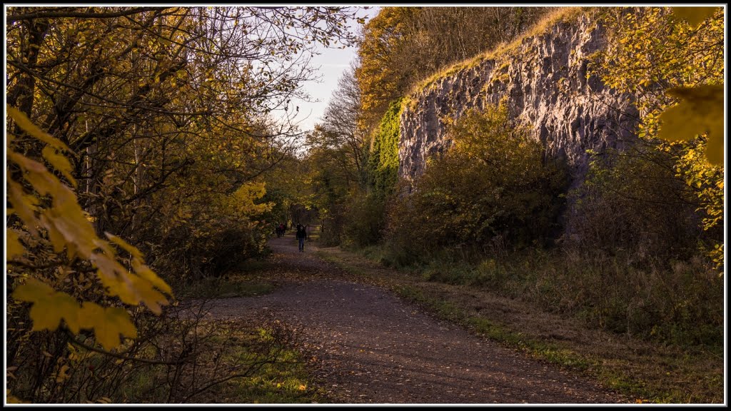 **...The Monsal trail...** by David.G.Johnson.