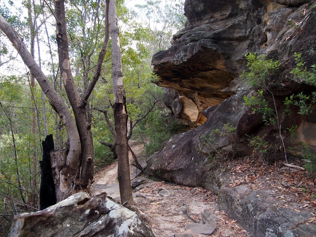 Rocky path from Naa Badu lookout to Berowra Waters by WoollyMittens