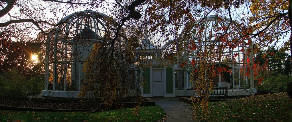 Birdhouse at Botanical Gardens, Autumn. by Ian  Forbes