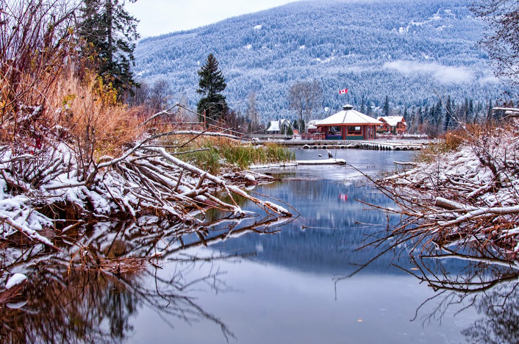 Whistler Air Float Plane Base by JamesWheeler