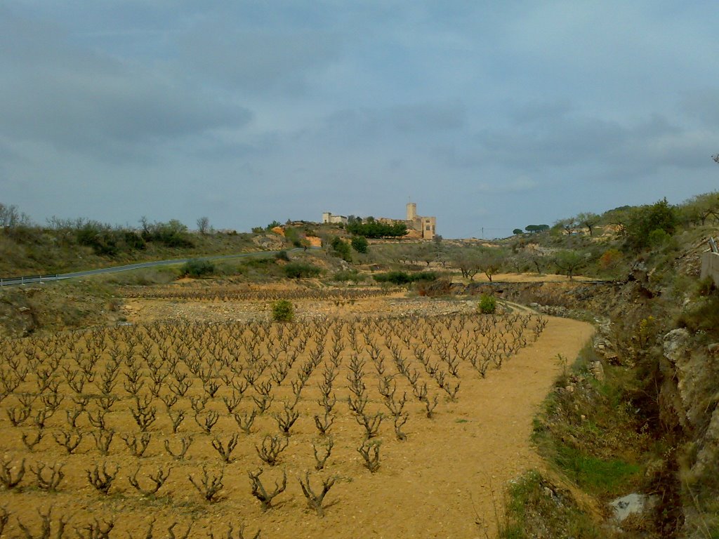 Vista del castillo by lageslos